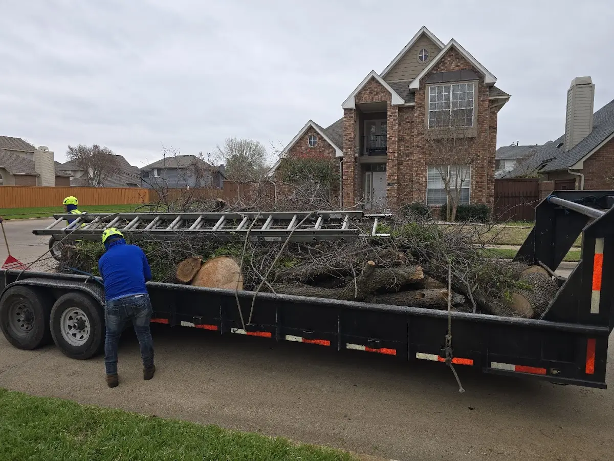 Expert Tree Pest Control with proper safety equipment in Ohio